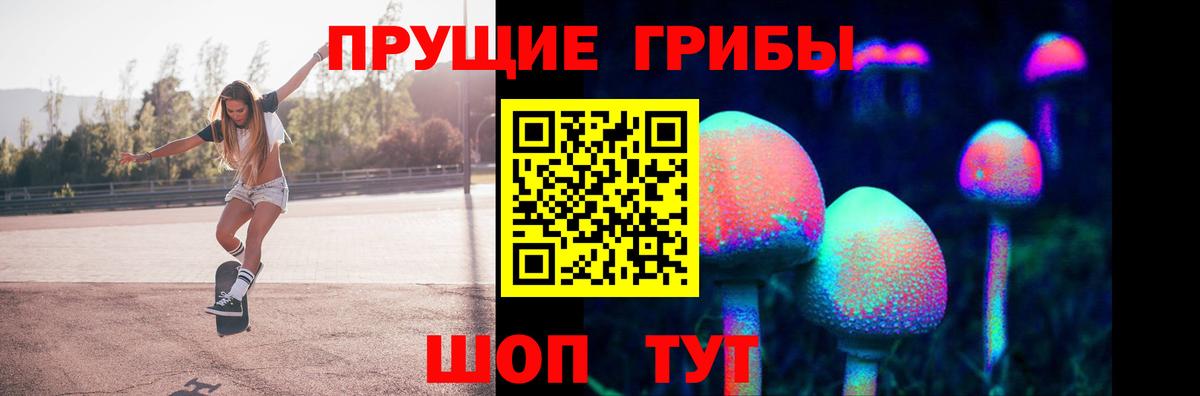 Псилоцибиновые грибы мицелий  Вход с VPN  магазин    Реж 